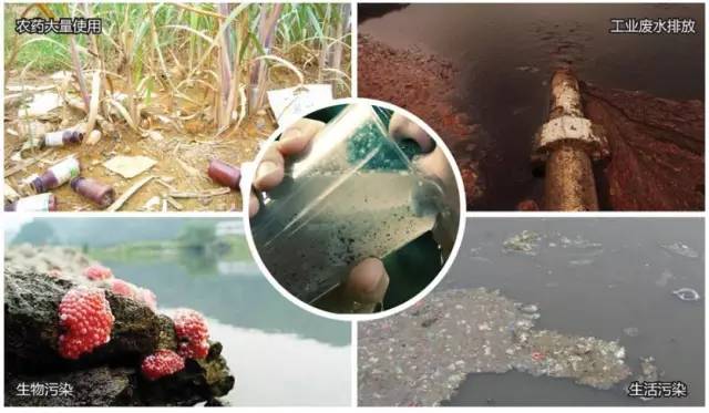 告别硬水之忧！化学肥料时代的净水器选购指南